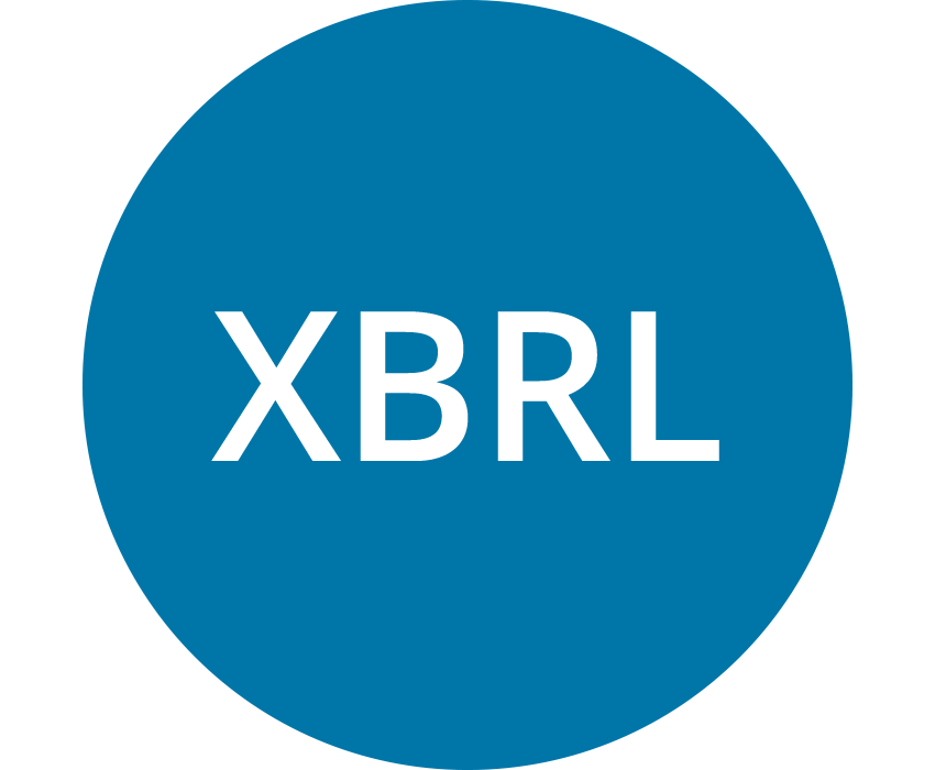 XBRL (eXtensible Business Reporting Language) (mid blue)