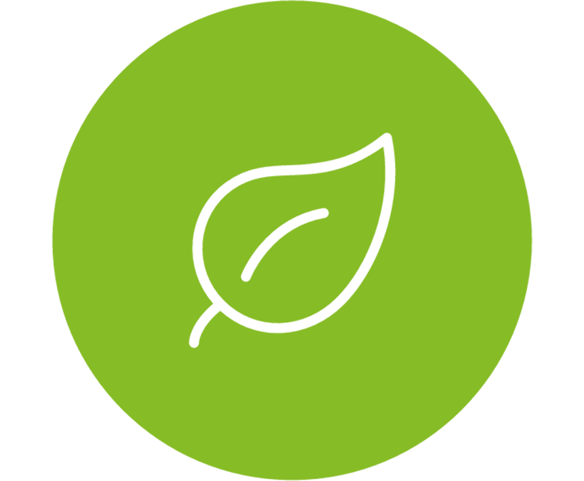Leaf - sustainability (green)