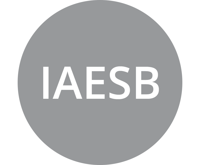 IAESB (International Accounting Education Standards Board)