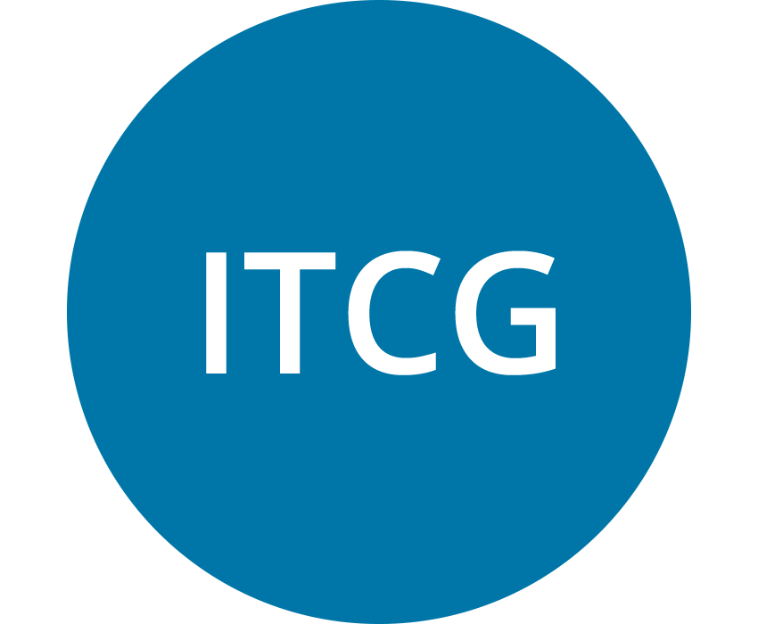 ITCG (IFRS Taxonomy Consultative Group) (mid blue)